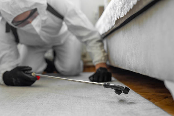 Professional Termite Control technician working in Winnebago County County, WI